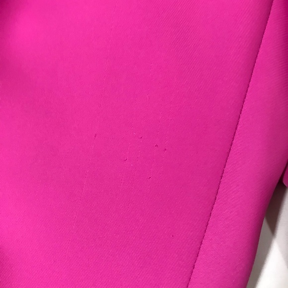 Ann Taylor Pink Pleated Dress Pants - Picture 6 of 6